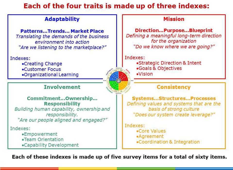 Leading Culture Change Executive Coaching