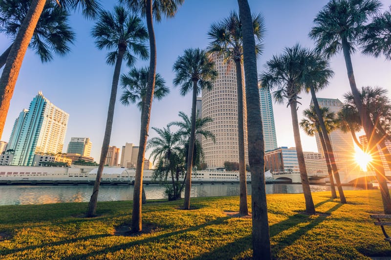 tampa executive leadership development training